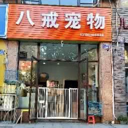 八戒狗狗:杭州市上城区丁桥附近
