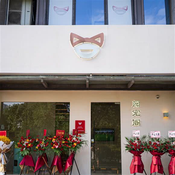 杜比阅宠阁宠物店:杭州市上城区丁桥附近