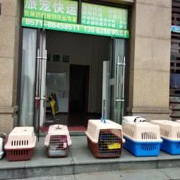 旅宠快运·宠物托运:杭州市上城区丁桥附近