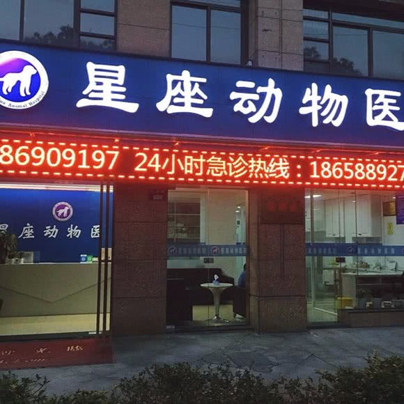 星座动物医院:杭州市上城区丁桥附近