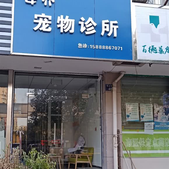 安乔宠物诊所:杭州市上城区丁桥附近