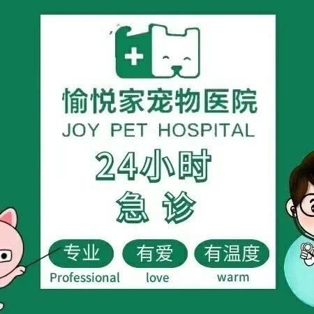 愉悦家宠物医院24h(丁兰广场店):杭州市上城区丁桥附近