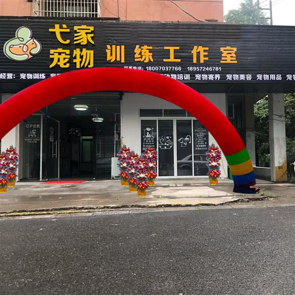 弋家宠物训练工作室:杭州市上城区九堡新天地文化创意园附近