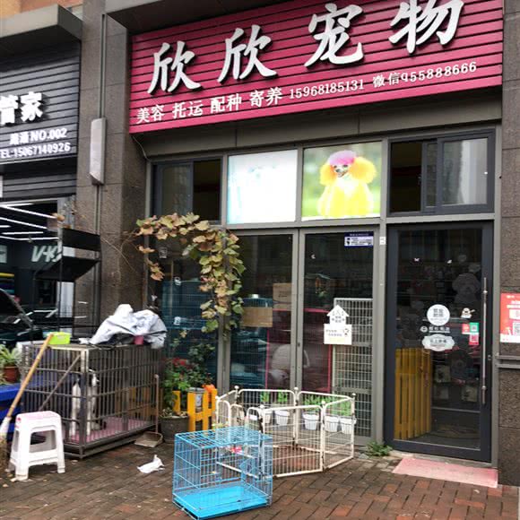 欣欣宠物:杭州市上城区九堡新天地文化创意园附近