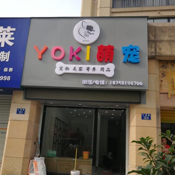 YOKI萌宠:杭州市上城区九堡新天地文化创意园附近