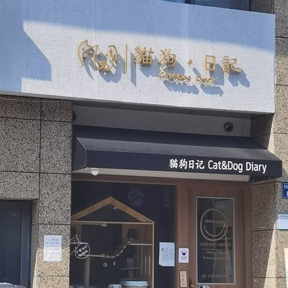 猫狗日记:杭州市上城区艮山东路附近