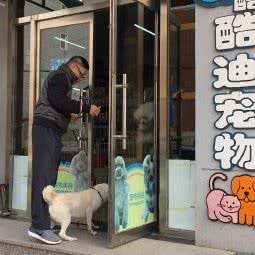 酷迪宠物(天竺店):北京城区顺义区首都机场附近