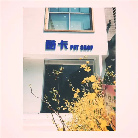 酷卡PET SHOP:杭州市拱墅区武林广场附近