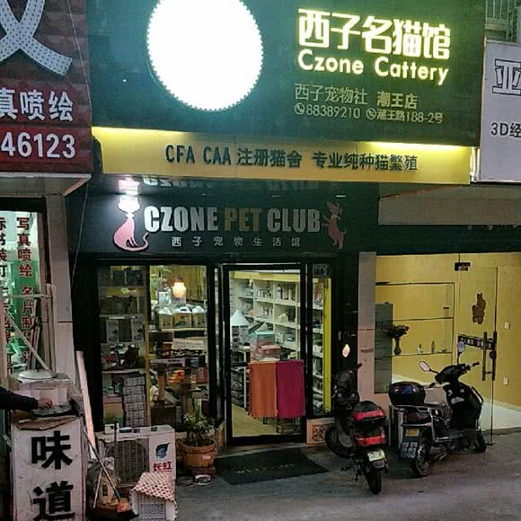 西子名猫馆(潮王店):杭州市拱墅区朝晖地区附近