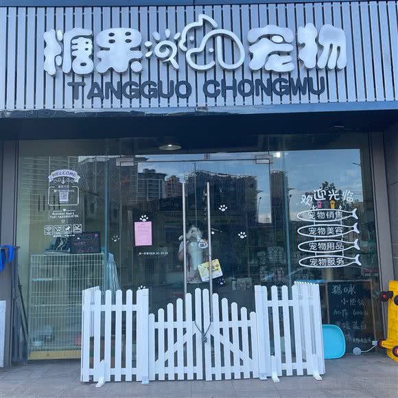 糖果宠物:杭州市拱墅区城西银泰城附近