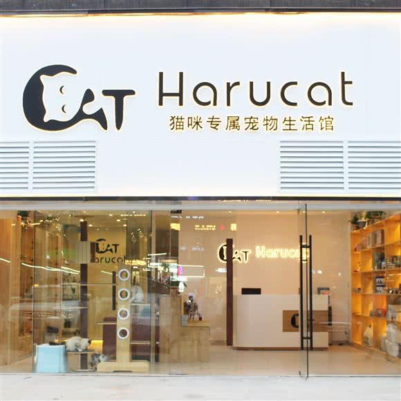 Harucat哈鲁猫咪宠物生活馆(城西店):杭州市拱墅区城西银泰城附近