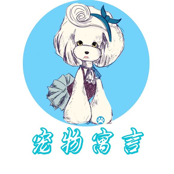 宠物寓言:杭州市拱墅区大关附近