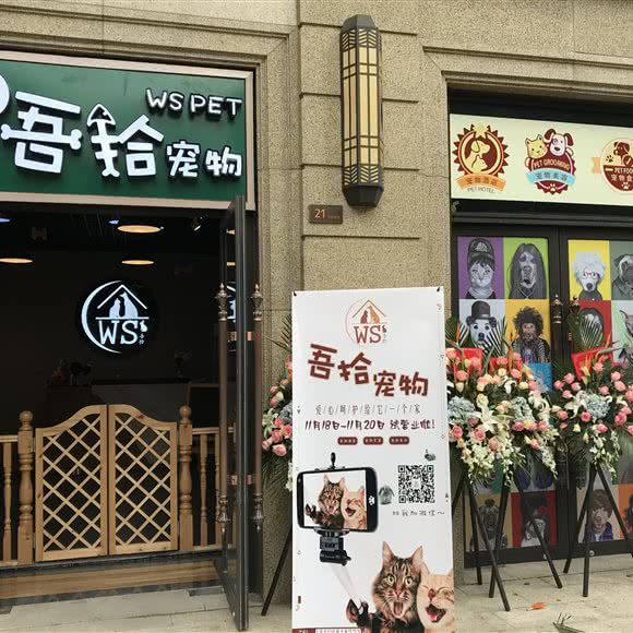 吾拾宠物:杭州市拱墅区大关附近