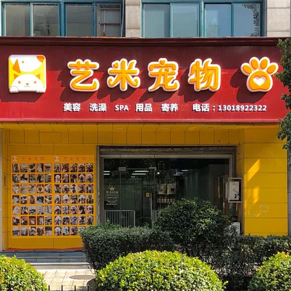 艺米宠物:杭州市拱墅区大关附近