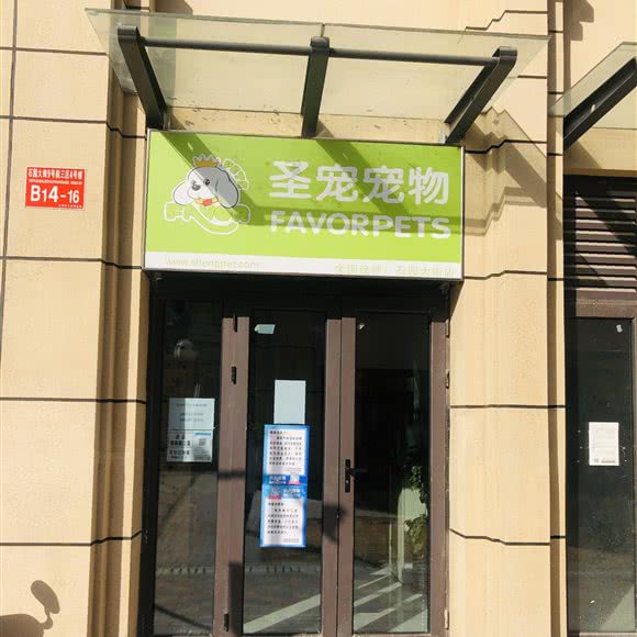 圣宠宠物(石园大街店):北京城区顺义区石园附近