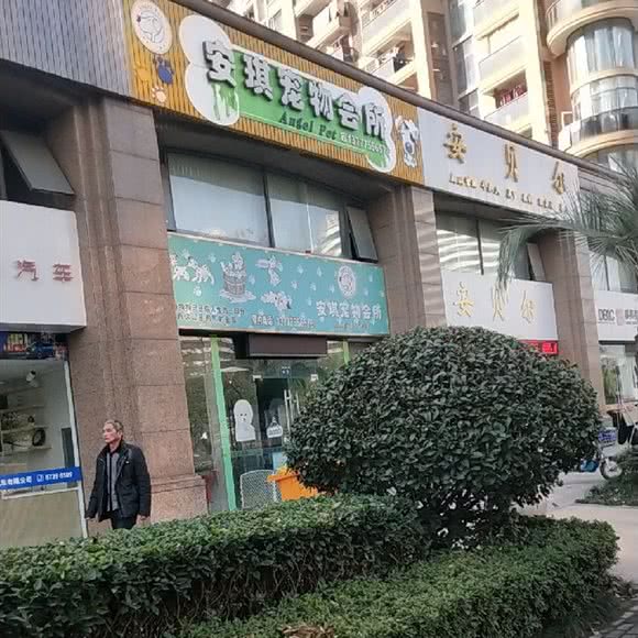 安琪宠物会所(城北店):杭州市拱墅区中大银泰城附近