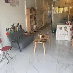 棒哒宠物:北京城区顺义区石园附近