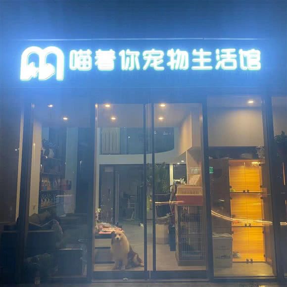 喵着你宠物生活馆:杭州市拱墅区石祥路/沈半路沿线附近