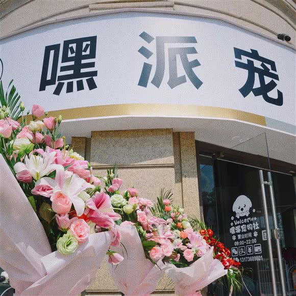 嘿派狗狗社:杭州市拱墅区北部新城附近