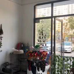 泡芙小宠:杭州市拱墅区北部新城附近