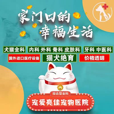 宠爱亮佳宠物医院(顺义总院):北京城区顺义区石园附近