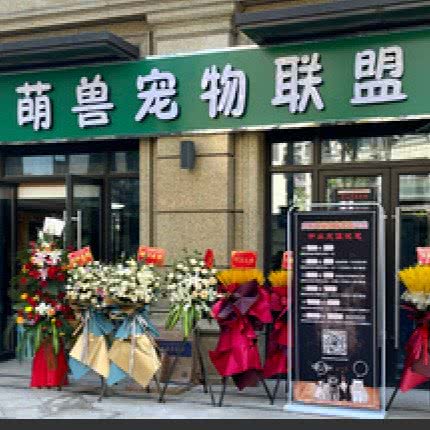 萌兽宠物狗联盟:杭州市拱墅区蓝钻天城购物中心附近