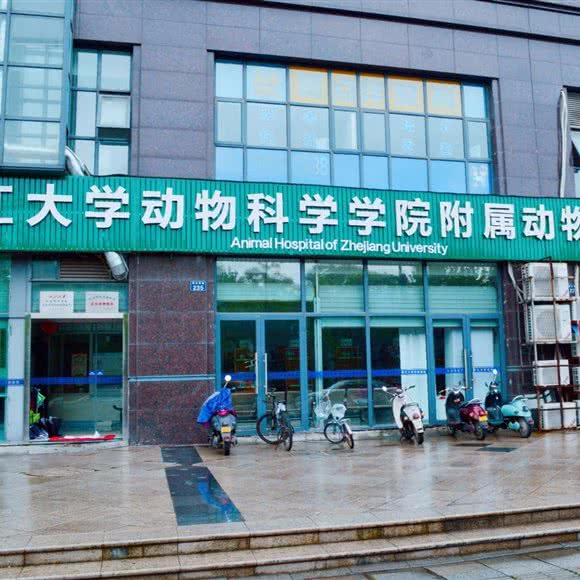 浙江大学动物医院:杭州市西湖区古墩路沿线附近