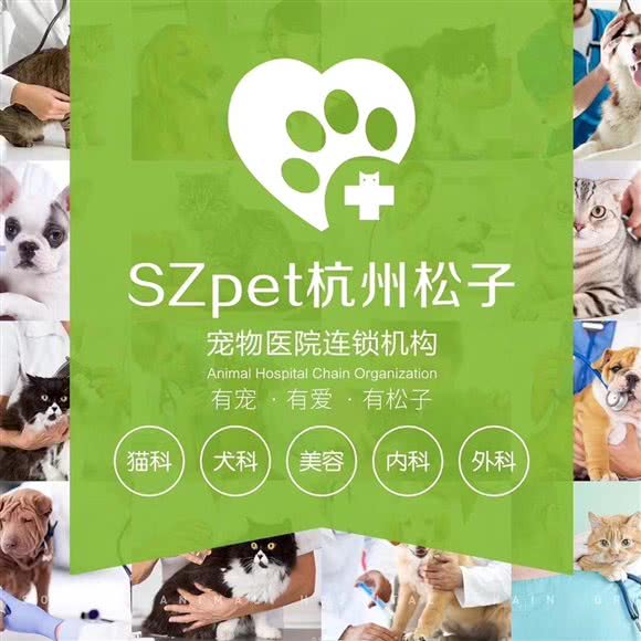 松子宠物医院·外科·猫科中心(金地分院):杭州市西湖区古墩路沿线附近