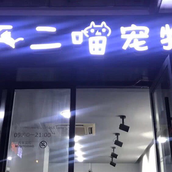 不二喵宠物:杭州市西湖区高新文教区附近