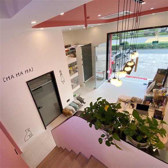 喵呜咪宠物馆·Miaowumi(文三店):杭州市西湖区高新文教区附近