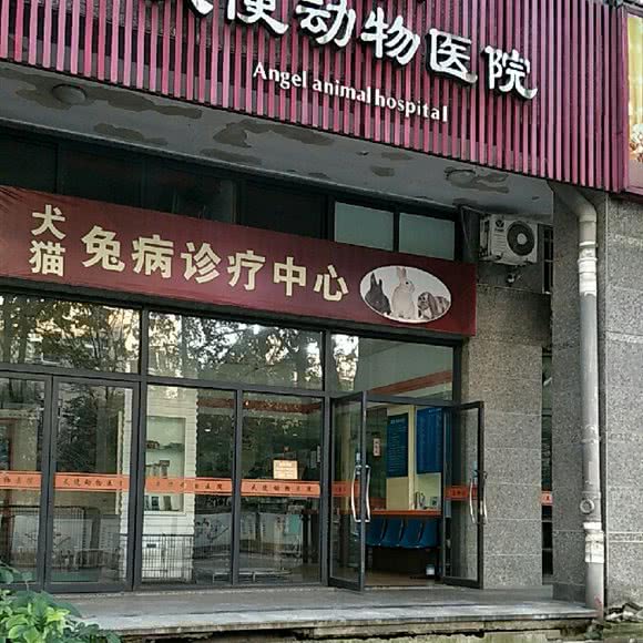 天使动物医院:杭州市西湖区高新文教区附近