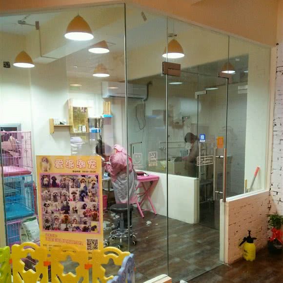爱派宠物会所:杭州市西湖区转塘附近