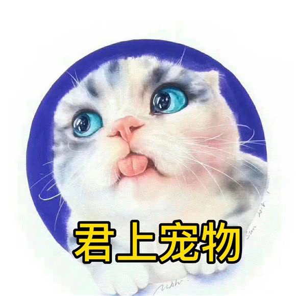君上宠物:杭州市西湖区三墩镇附近
