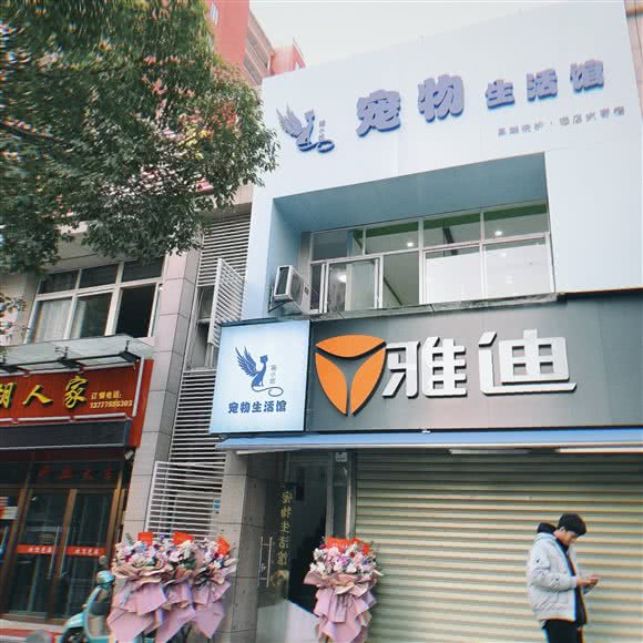 猫小姐宠物生活:杭州市西湖区三墩镇附近