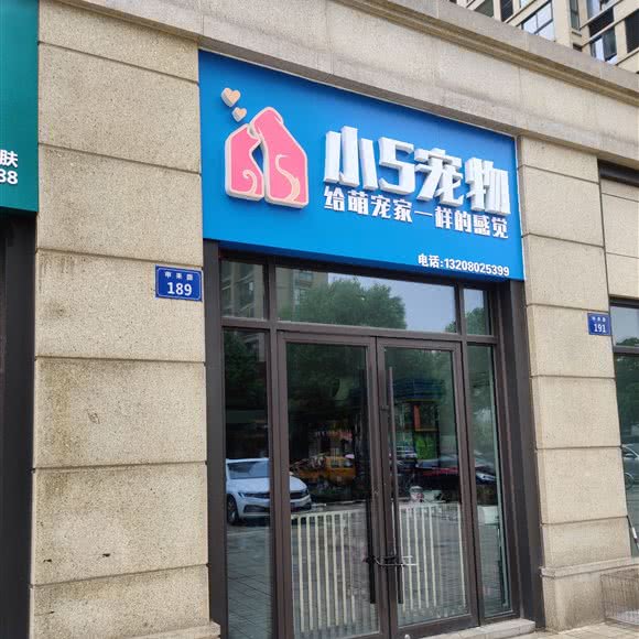 小5宠物:杭州市西湖区三墩镇附近