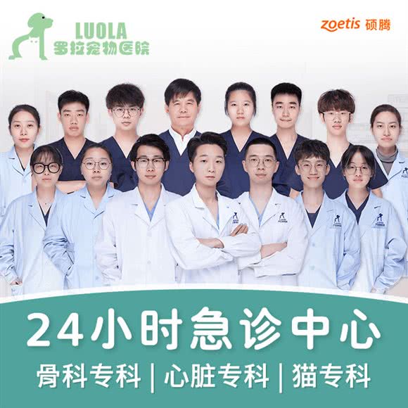 罗拉宠物医院·骨科中心·心脏专科:杭州市西湖区首尔印象附近
