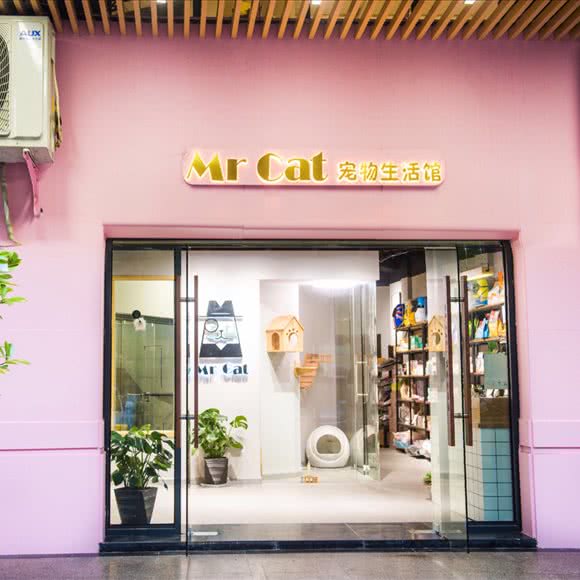 Mr cat宠物生活馆(猫舍活体专属店):杭州市滨江区开发区/高教园附近
