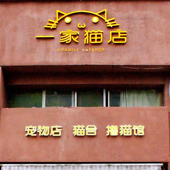一家猫店(宠物店·猫舍·猫咖):杭州市滨江区开发区/高教园附近