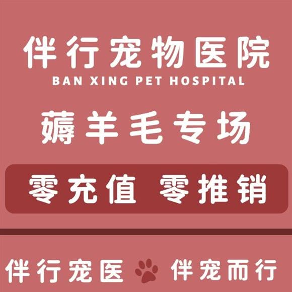 伴行宠物医院24钟头骨专科:杭州市滨江区开发区/高教园附近