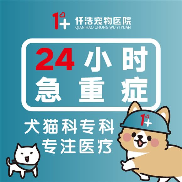 1+仟浩动物医院24小时(滨江旗舰店):杭州市滨江区开发区/高教园附近