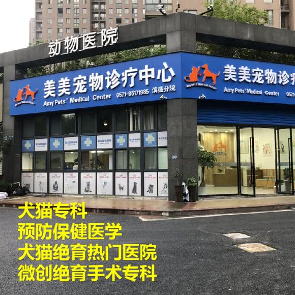 美美宠物诊疗服务中心:杭州市滨江区开发区/高教园附近