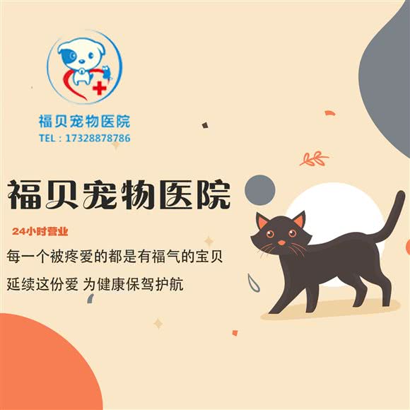 福贝宠物医院24h:杭州市滨江区开发区/高教园附近