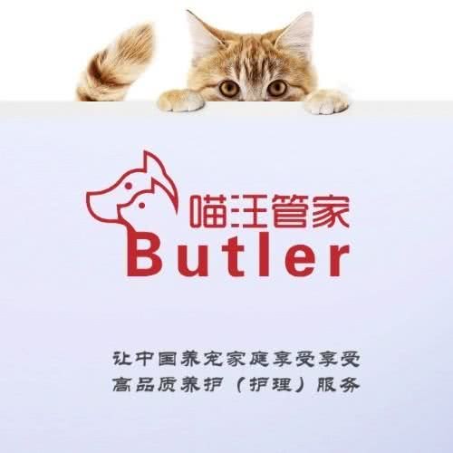 喵汪管家:杭州市萧山区北干附近