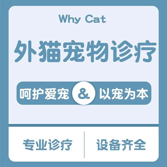 外猫宠物医院24小时骨专科:杭州市萧山区北干附近