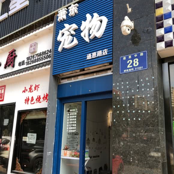 萧东狗狗:杭州市萧山区通惠路沿线附近