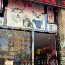 宠它宠物生活馆(南郡店):杭州市萧山区蜀山街道附近