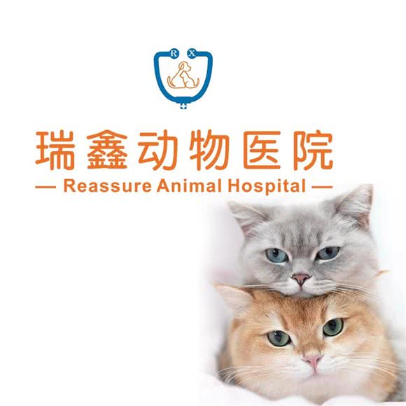瑞鑫动物医院:杭州市萧山区宝龙城市广场附近