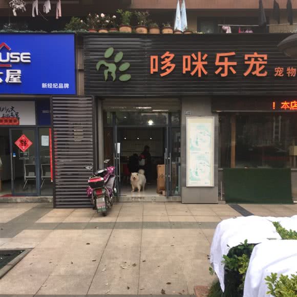 哆咪乐宠宠物生活馆:杭州市余杭区老余杭附近