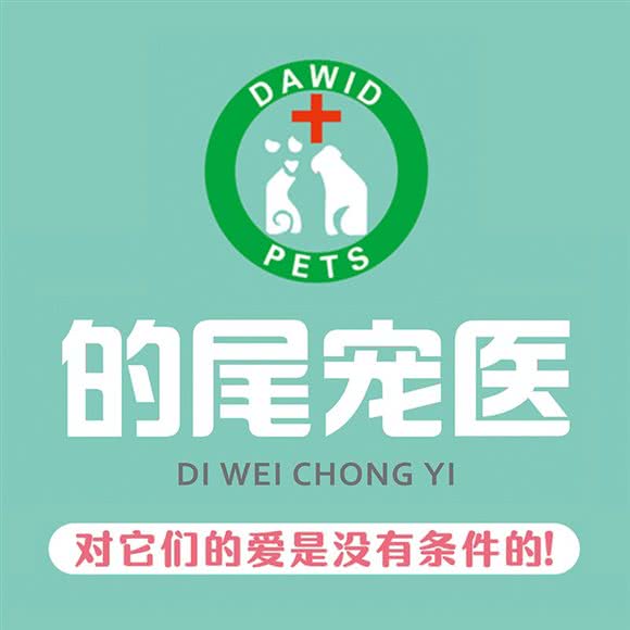 的的尾宠物医院:杭州市余杭区老余杭附近