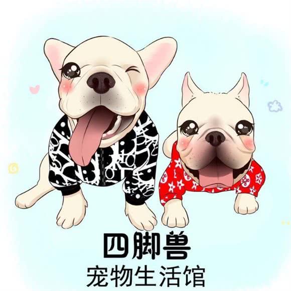 四脚兽宠物生活馆:杭州市余杭区海创园附近
